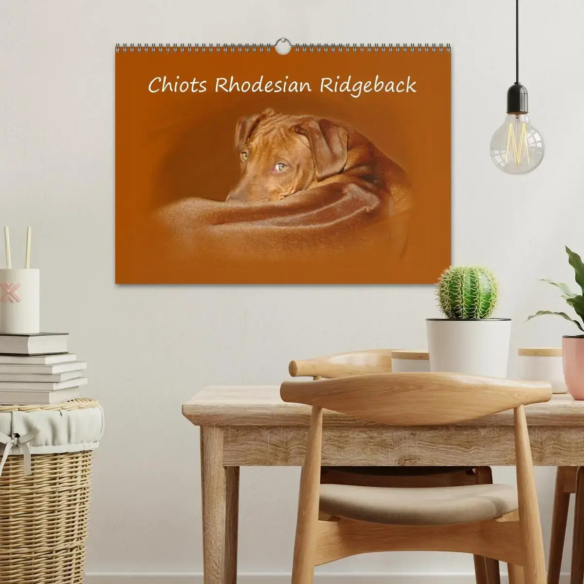 CHIOTS RHODESIAN RIDGEBACK (Calendrier mural 2026 DIN A3 vertical ...