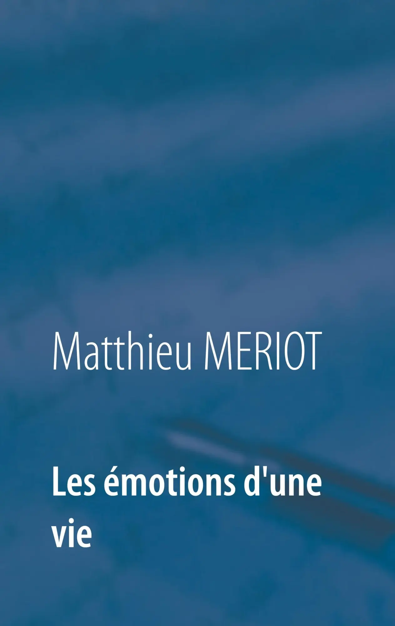 Les éMotions D'une Vie Matthieu Meriot Taschenbuch 116 S. FranzöSisch 2019-image