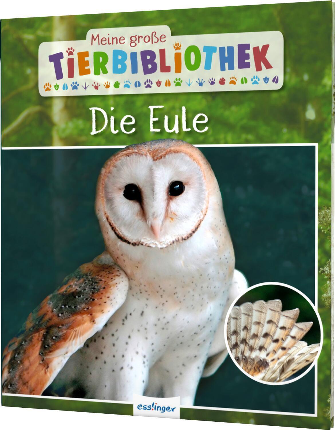 Meine Große Tierbibliothek: Die Eule Sachbuch Für Vorschule &