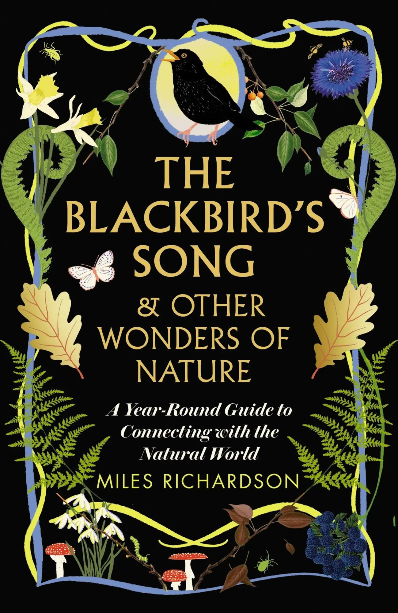 The Blackbird's Song & Other Wonders Of Nature Miles Richardson Buch Englisch-image