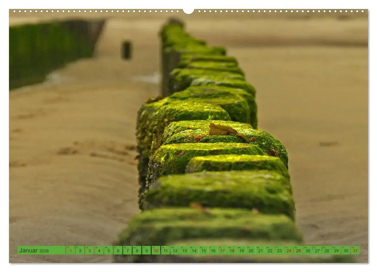 Holland - Die Nordsee von Zandvoort bis Breskens (Wandkalender 2026 DIN A2... - Bild 7 von 15