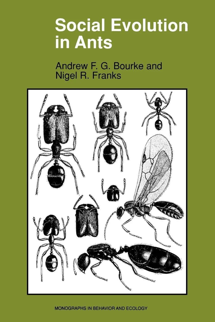 Social Evolution in Ants - Bourke, Andrew F. G.