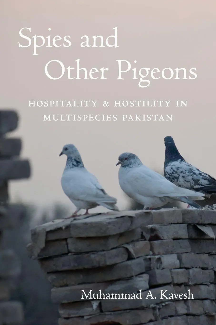 Spies And Other Pigeons Hospitality And Hostility In Multispecies Pakistan Buch-image