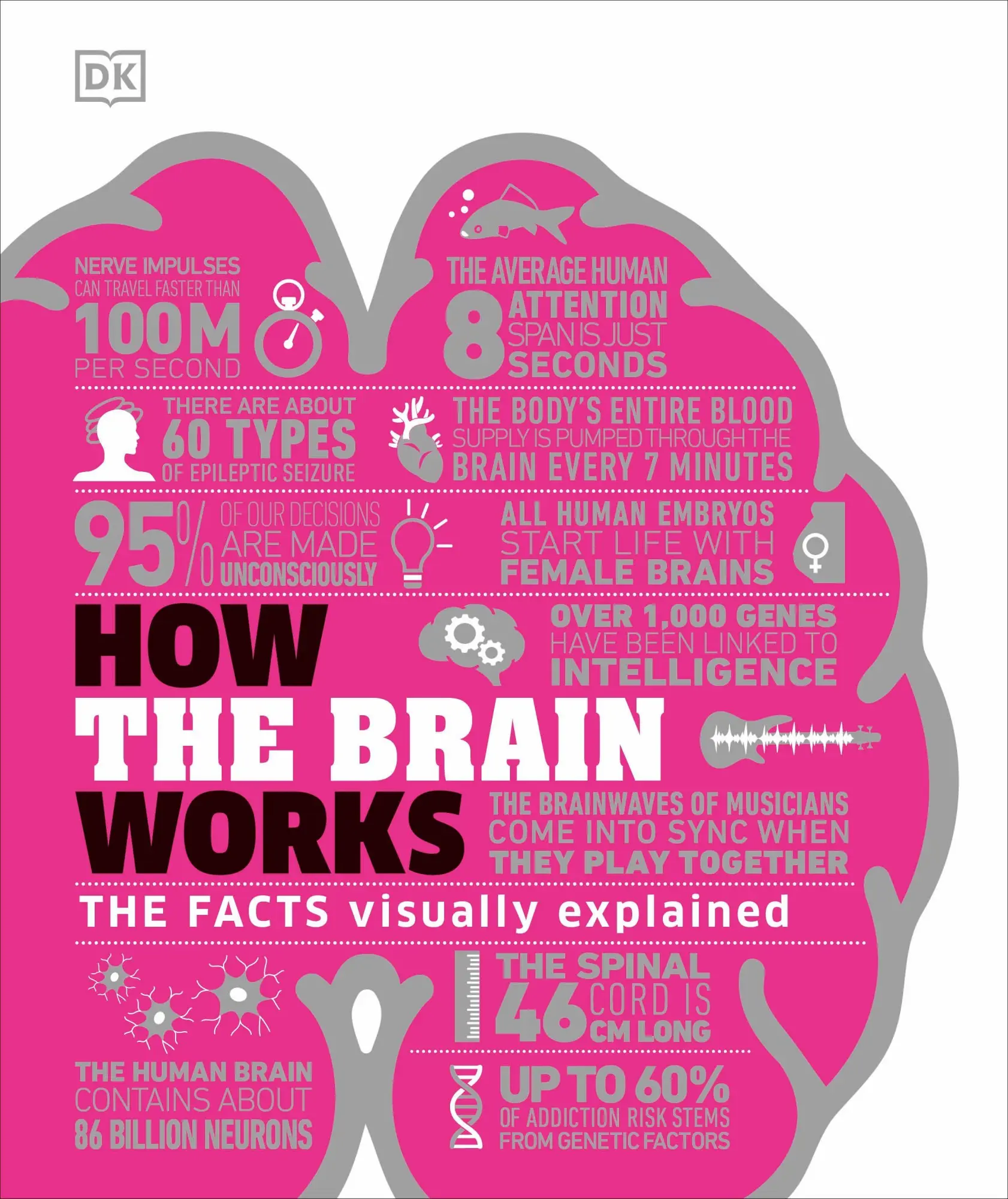 How The Brain Works The Facts Visually Explained Buch DK How Stuff Works 224 S.-image