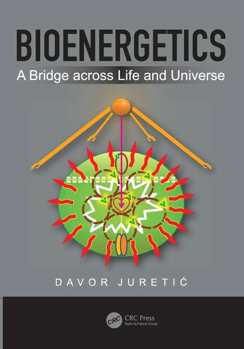 Bioenergetics A Bridge Across Life And Universe Davor Juretic Taschenbuch 2024-image
