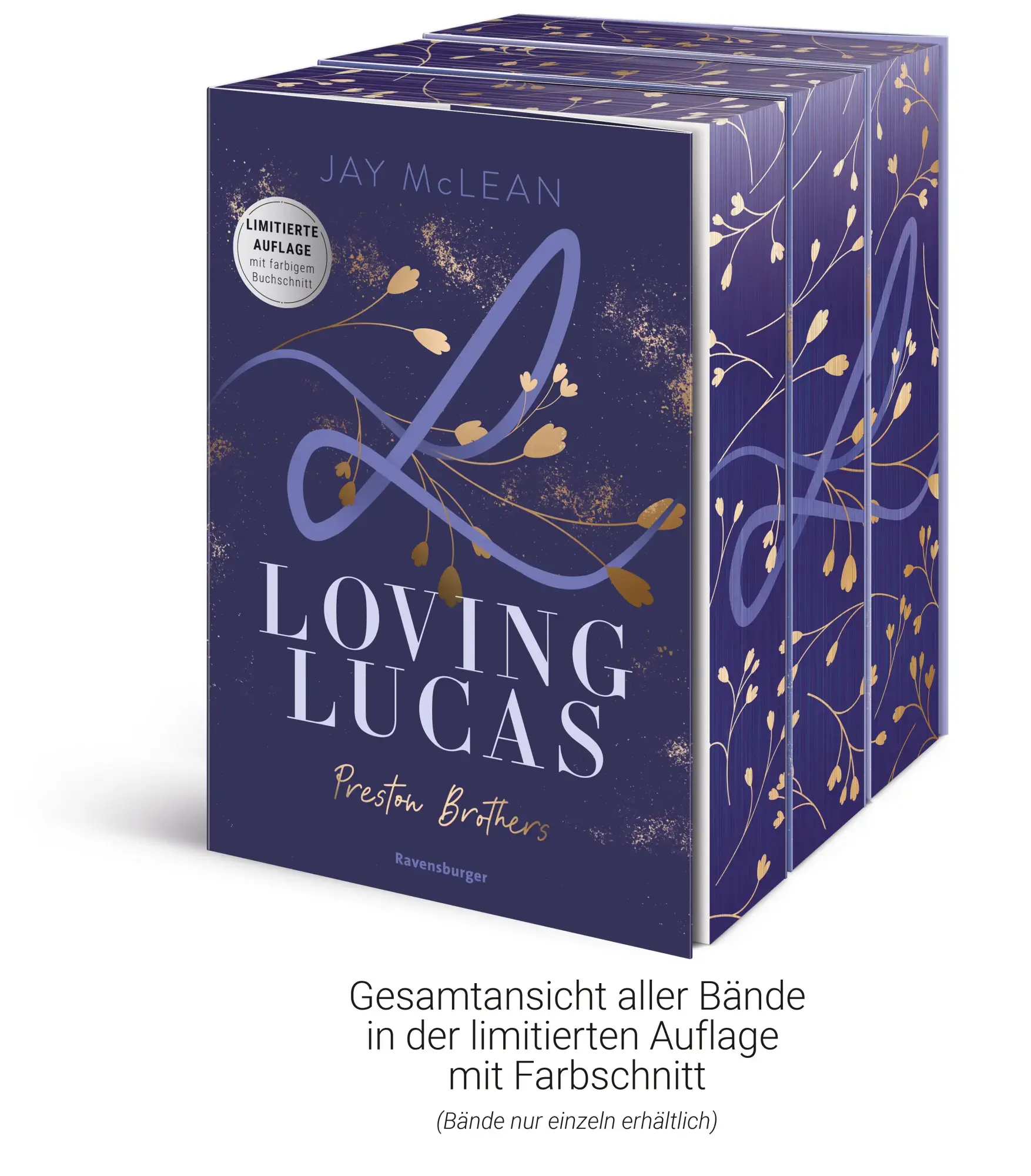 Bild 6 von 11