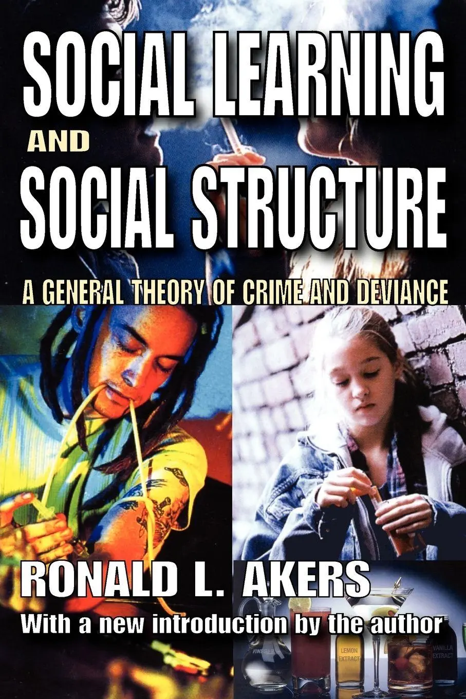 Social Learning And Social Structure A General Theory Of Crime And Deviance Buch-image