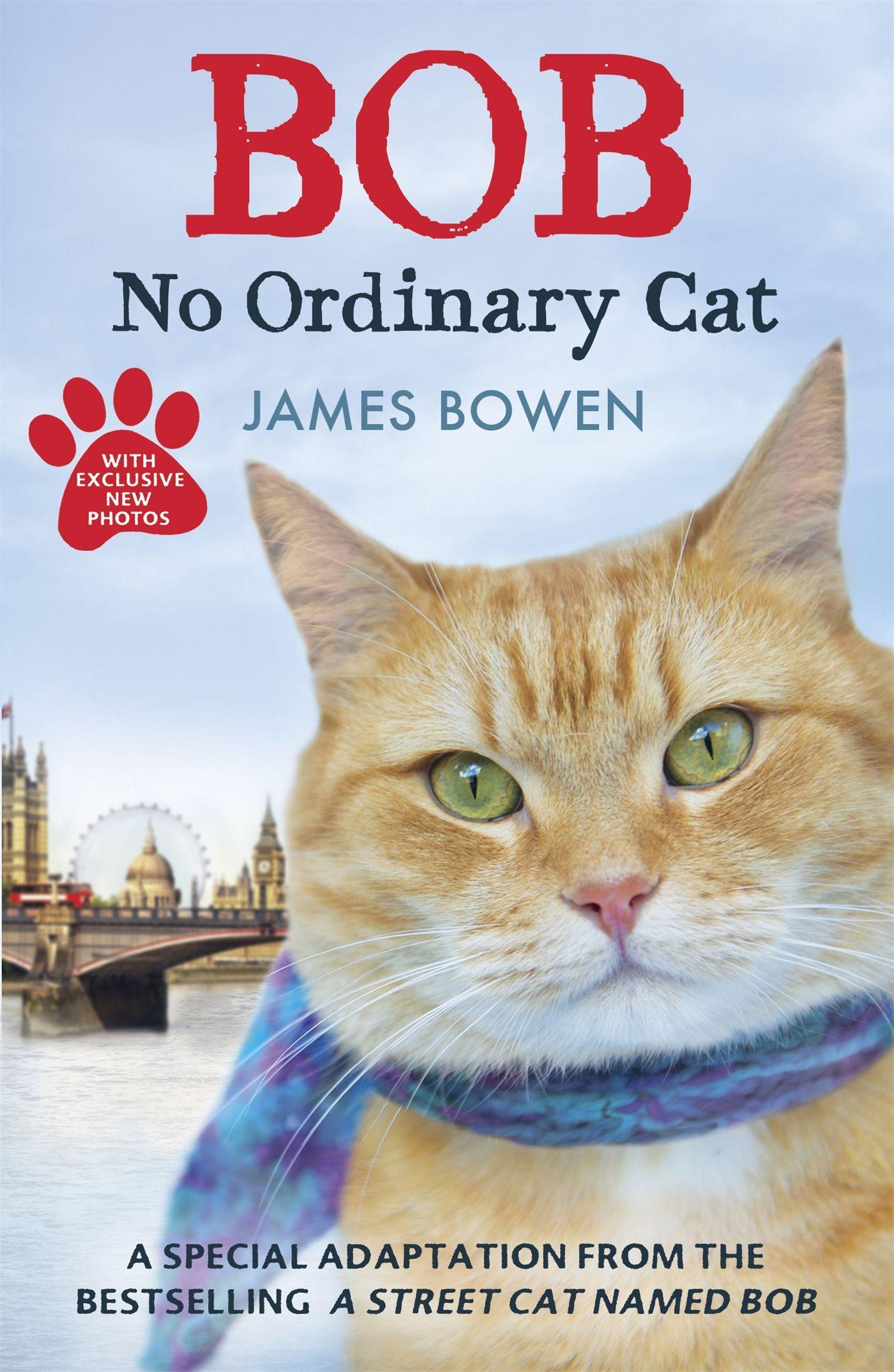 Bob - No Ordinary Cat / James Bowen / Taschenbuch / 298 S. / Englisch / 2013 / Hodder And Stoughton Ltd. / EAN 9781444764901 - Bowen, James