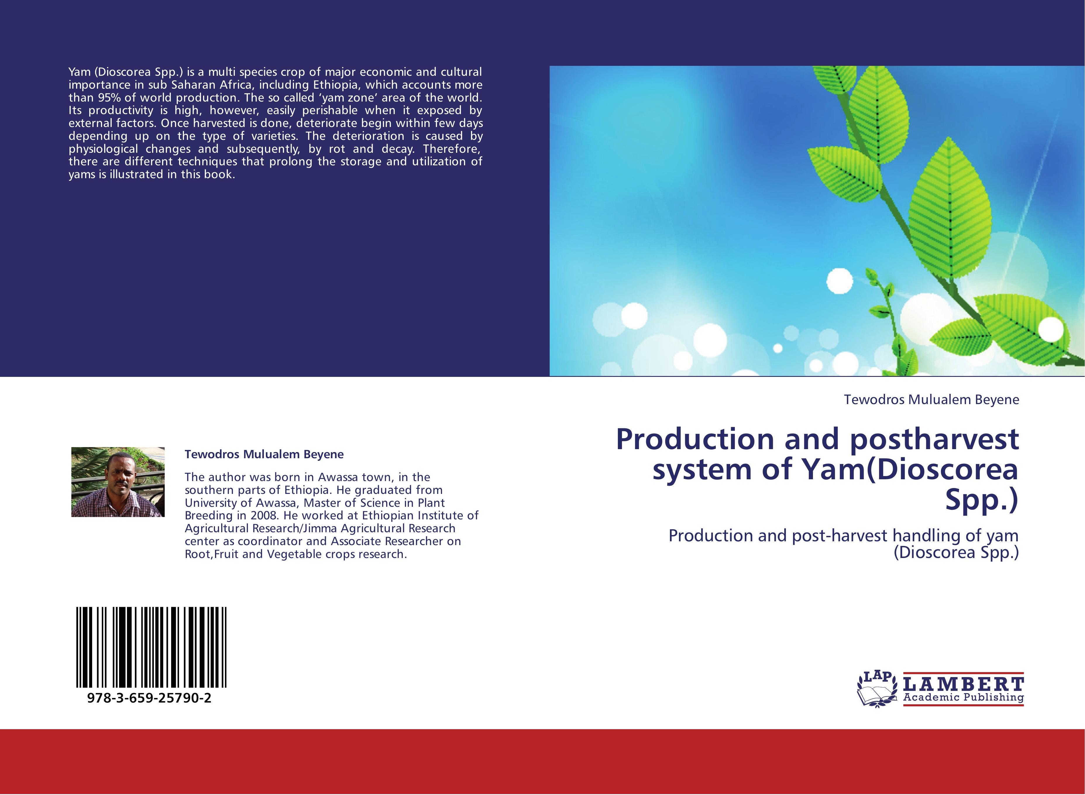 Production and post-harvest system of Yam(Dioscorea Spp.) / Post-harvest handling of Yam / Tewodros Mulualem Beyene / Taschenbuch / Paperback / 64 S. / Englisch / 2012 / EAN 9783659257902 - Beyene, Tewodros Mulualem