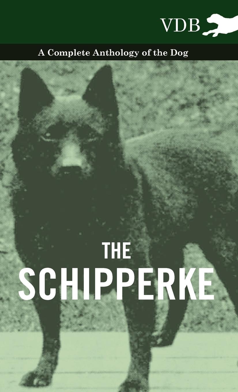 The Schipperke - A Complete Anthology of the Dog / Various / Buch / HC gerader Rücken kaschiert / Englisch / 2010 / Vintage Dog Books / EAN 9781445527703 - Various