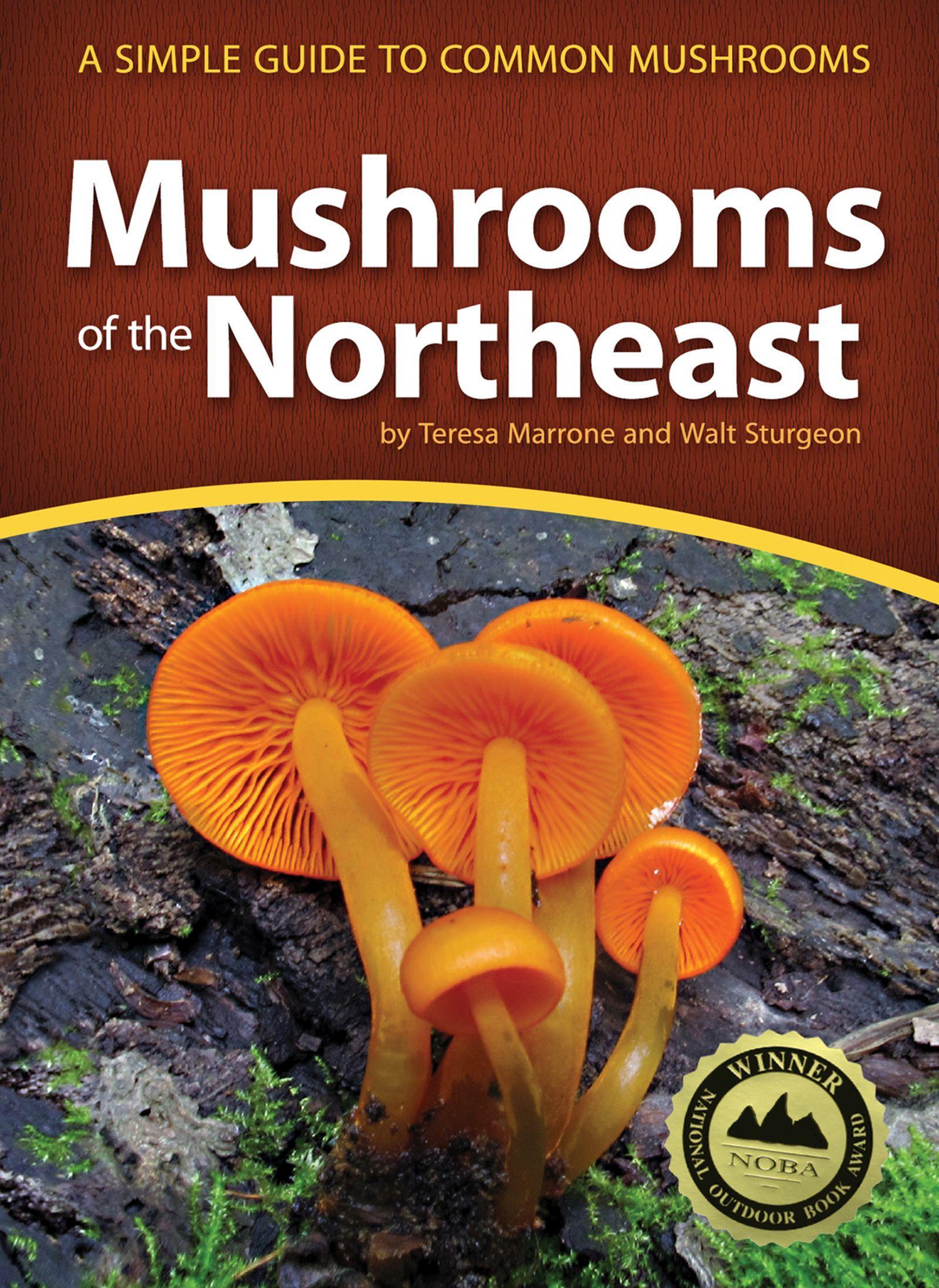 Mushrooms of the Northeast: A Simple Guide to Common Mushrooms / Teresa Marrone (u. a.) / Taschenbuch / Mushroom Guides / Englisch / 2016 / ADVENTURE PUBN / EAN 9781591935919 - Marrone, Teresa