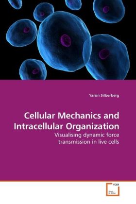 Cellular Mechanics and Intracellular Organization / Visualising dynamic force transmission in live cells / Yaron Silberberg / Taschenbuch / Englisch / VDM Verlag Dr. Müller / EAN 9783639221220 - Silberberg, Yaron