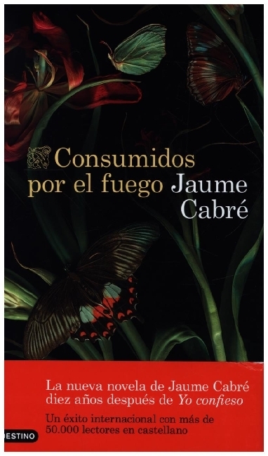 Consumidos por el fuego / Concha Cardeñoso / Taschenbuch / Spanisch / 2021 / Ediciones Destino / EAN 9788423359233 - Cardeñoso, Concha