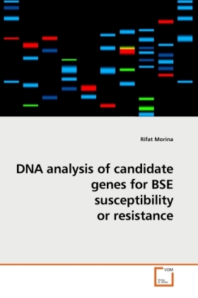 DNA analysis of candidate genes for BSE susceptibility or resistance / Rifat Morina / Taschenbuch / Englisch / VDM Verlag Dr. Müller / EAN 9783639246445 - Morina, Rifat