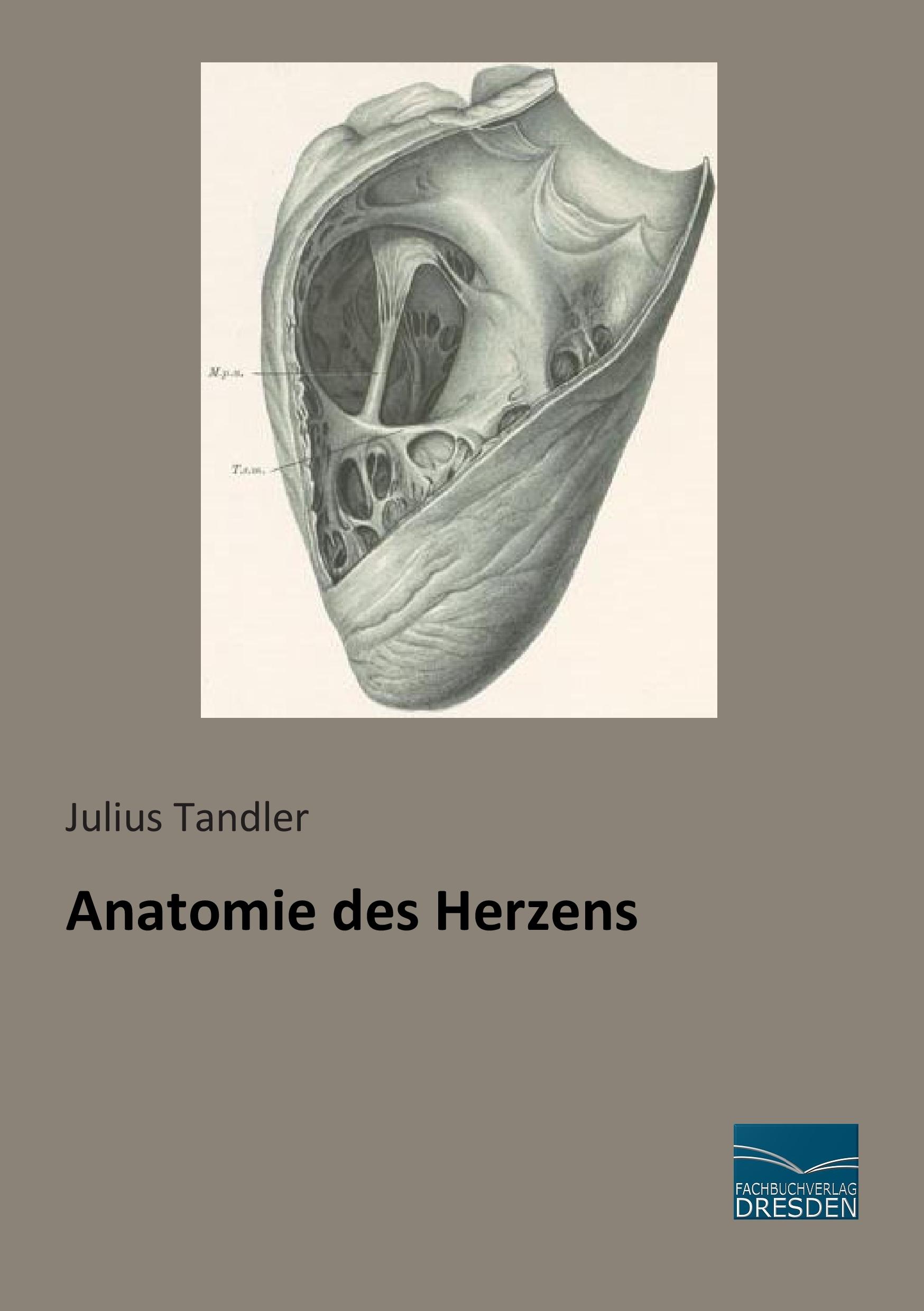 Anatomie des Herzens / Julius Tandler / Taschenbuch / Paperback / 300 S. / Deutsch / 2015 / Fachbuchverlag-Dresden / EAN 9783956927355 - Tandler, Julius