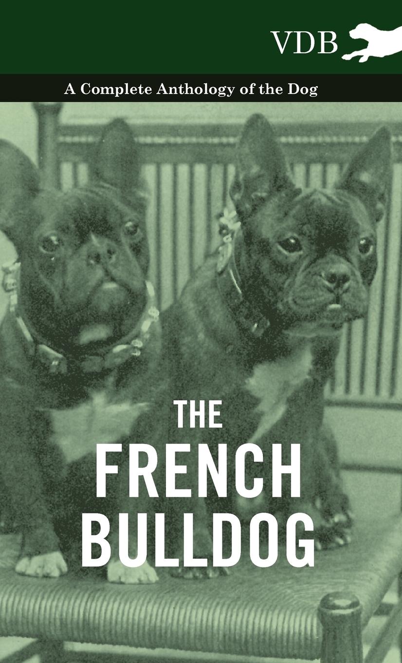 The French Bulldog - A Complete Anthology of the Dog / Various / Buch / HC gerader Rücken kaschiert / Englisch / 2010 / Vintage Dog Books / EAN 9781445527260 - Various