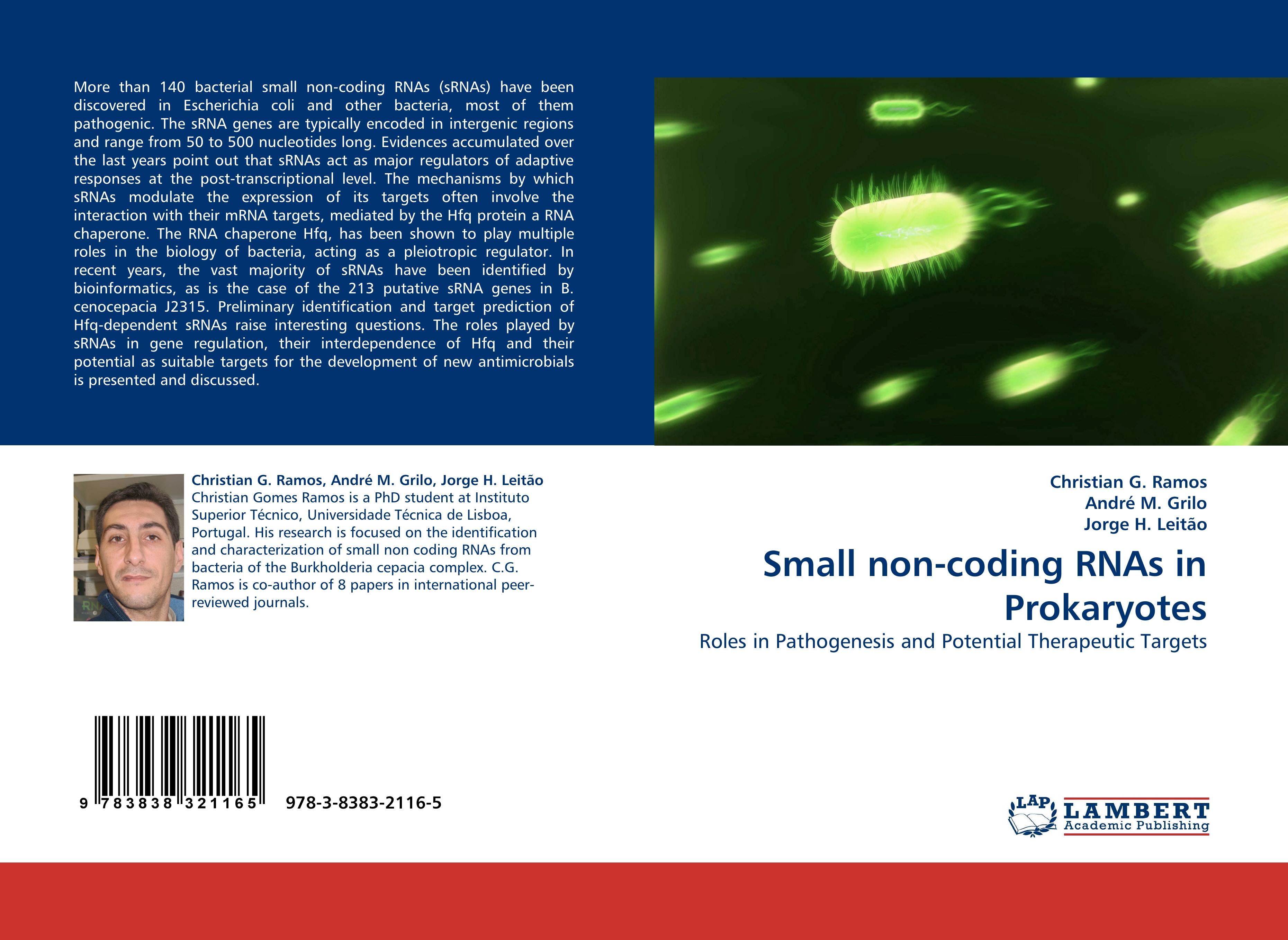 Small non-coding RNAs in Prokaryotes / Roles in Pathogenesis and Potential Therapeutic Targets / Christian G. Ramos (u. a.) / Taschenbuch / Paperback / 84 S. / Englisch / 2010 / EAN 9783838321165 - Ramos, Christian G.
