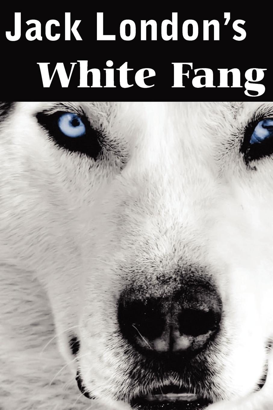 White Fang / Jack London / Taschenbuch / Paperback / Englisch / 2012 / Bottom of the Hill Publishing / EAN 9781612034669 - London, Jack