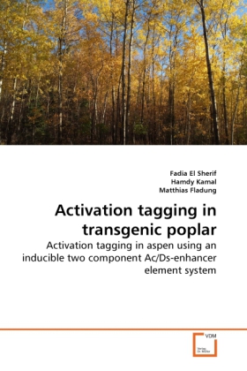 Activation tagging in transgenic poplar / Activation tagging in aspen using an inducible two component Ac/Ds-enhancer element system / Fadia El Sherif (u. a.) / Taschenbuch / Englisch - Sherif, Fadia El