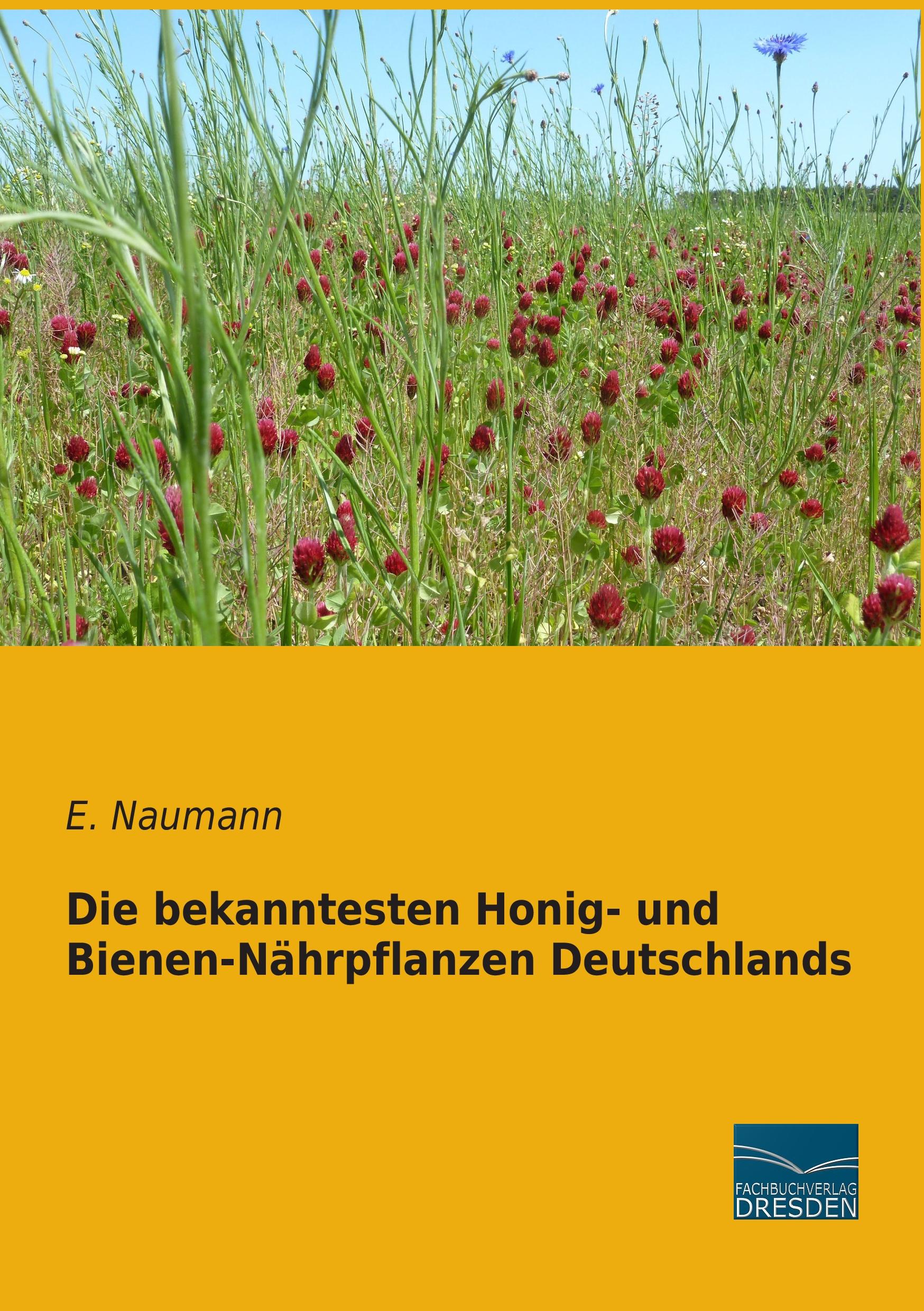 Die bekanntesten Honig- und Bienen-Nährpflanzen Deutschlands / E. Naumann / Taschenbuch / Paperback / 112 S. / Deutsch / 2015 / Fachbuchverlag-Dresden / EAN 9783956927676 - Naumann, E.