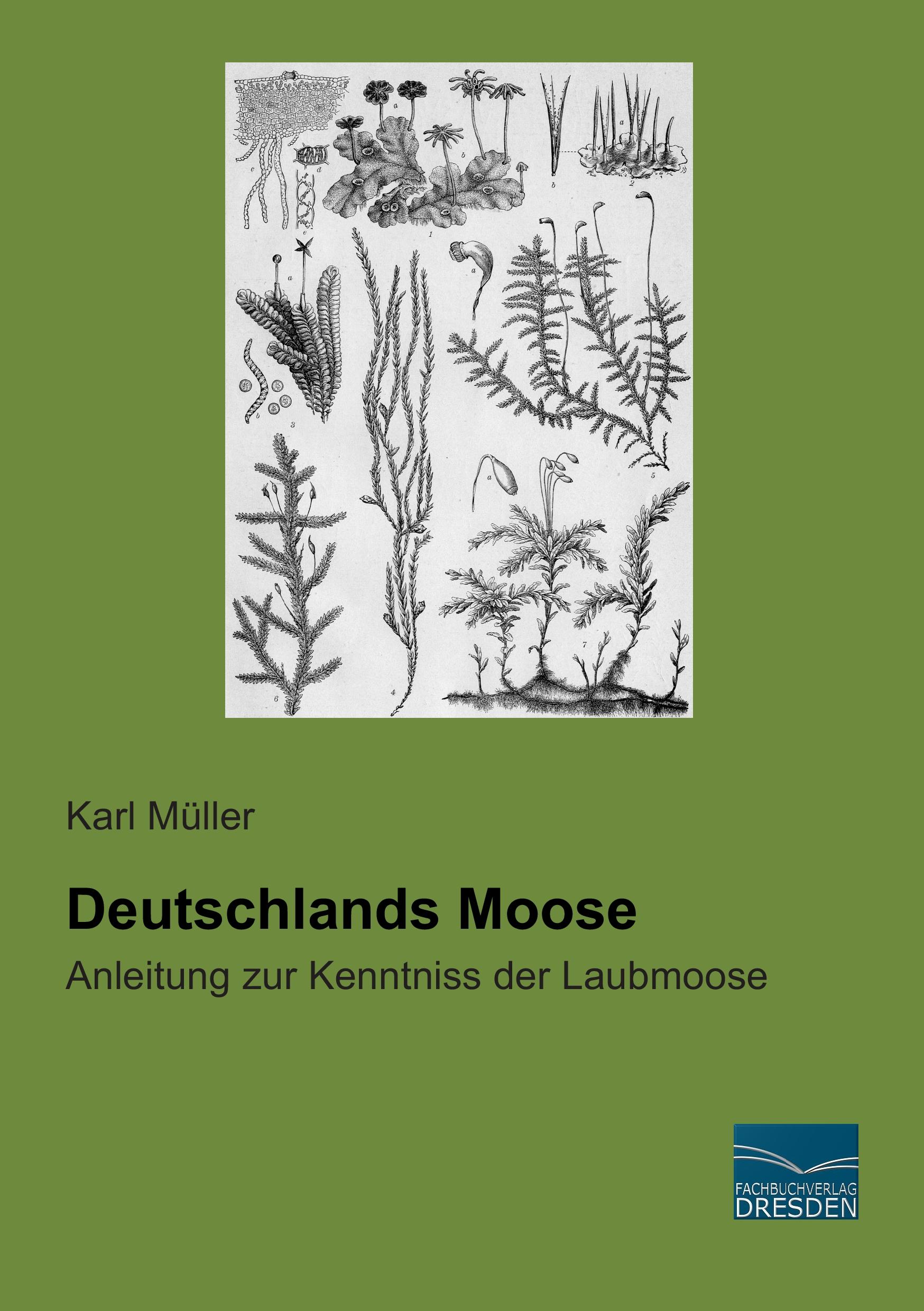 Deutschlands Moose / Anleitung zur Kenntniss der Laubmoose / Karl Müller / Taschenbuch / Paperback / 524 S. / Deutsch / 2015 / Fachbuchverlag-Dresden / EAN 9783956921391 - Müller, Karl