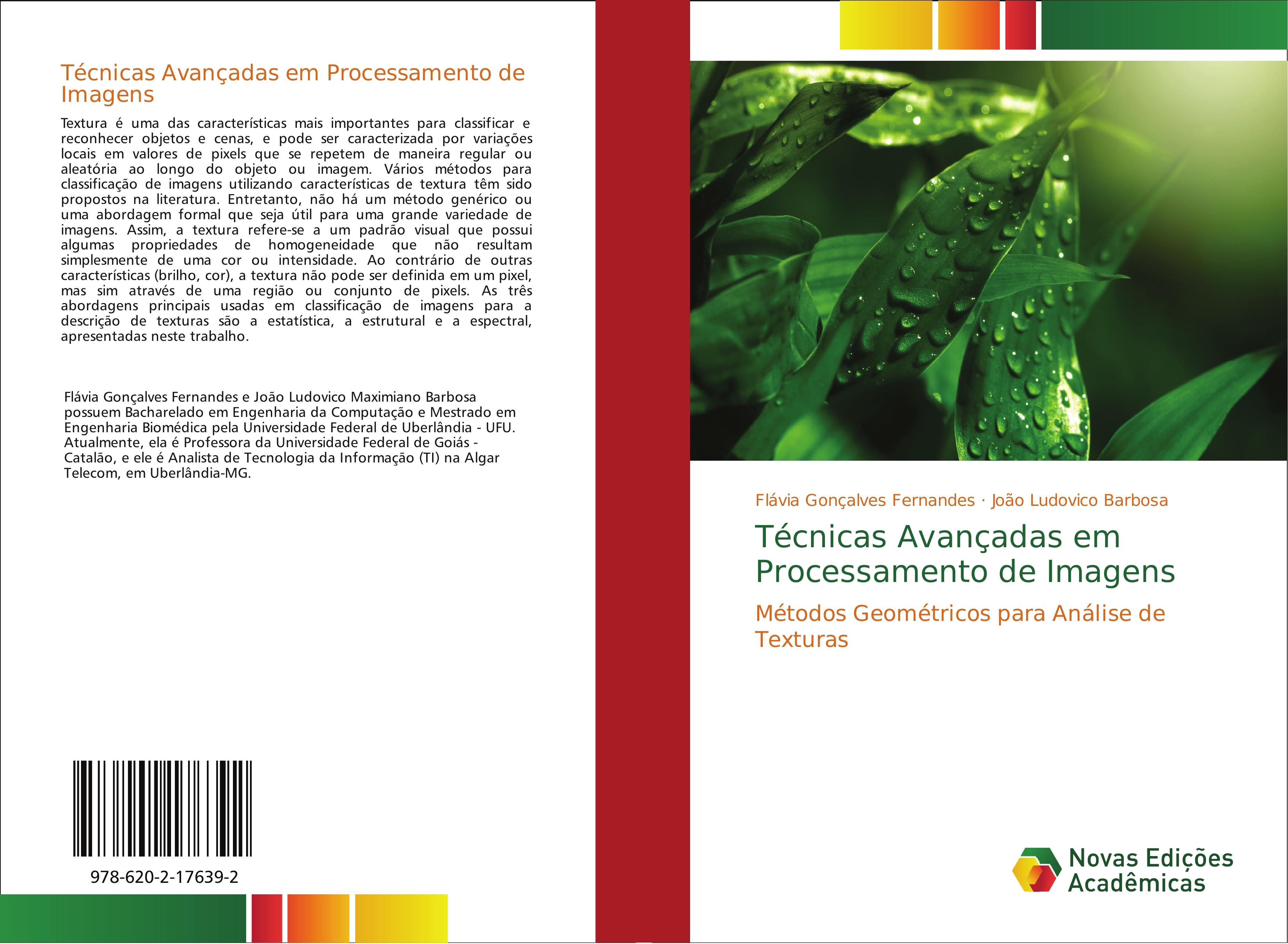 Técnicas Avançadas em Processamento de Imagens / Métodos Geométricos para Análise de Texturas / Flávia Gonçalves Fernandes (u. a.) / Taschenbuch / Paperback / Portugiesisch / 2018 / EAN 9786202176392 - Fernandes, Flávia Gonçalves