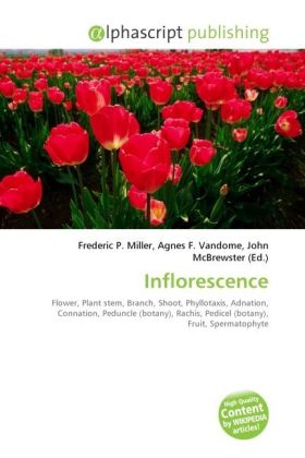 Inflorescence / Frederic P. Miller (u. a.) / Taschenbuch / Englisch / Alphascript Publishing / EAN 9786130245795 - Miller, Frederic P.